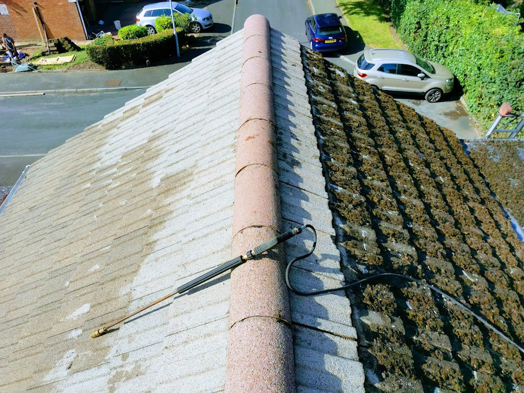 clean moss-free roof