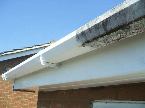 gutter cleaning services buckingham
